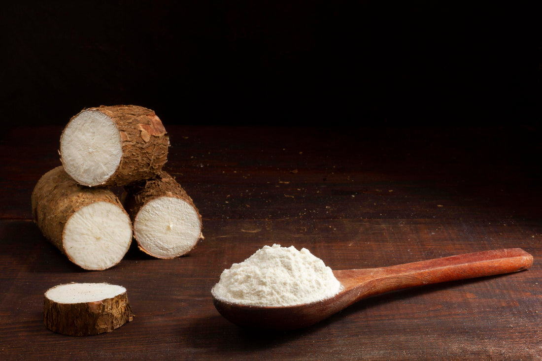 Cassava Extract What is the Use of Cassava in Skincare? – The Forest Extract